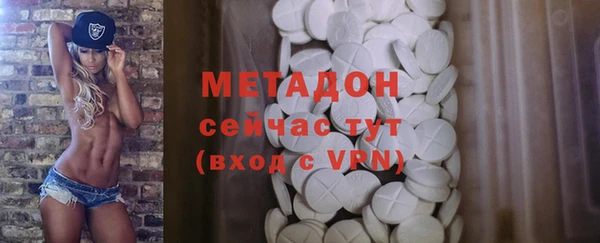индика Алексин