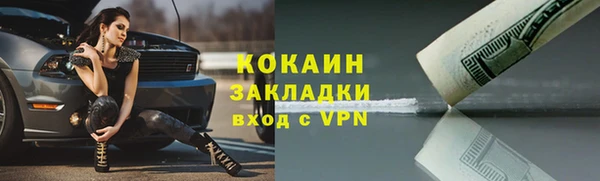индика Алексин