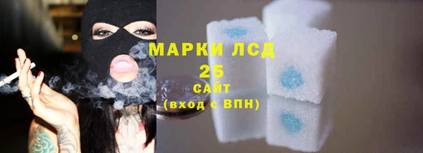 индика Алексин