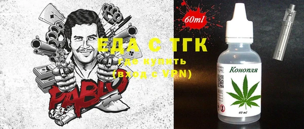индика Алексин