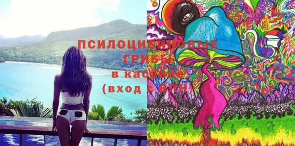 молекула духа Алзамай