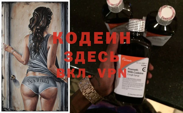 молекула духа Алзамай