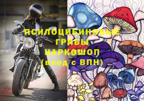 spice Армянск
